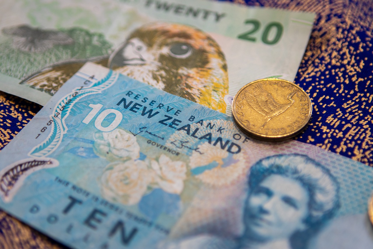 salaries-in-new-zealand-new-zealand-immigration-adviser-and