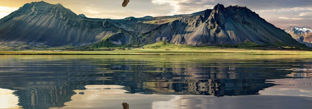 An eagle flies above a large lake with a low mountain in the background