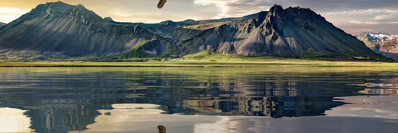 An eagle flies above a large lake with a low mountain in the background