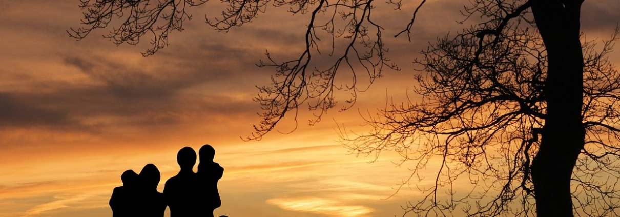 The silhouette of a family standing by a tree at sunset