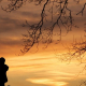 The silhouette of a family standing by a tree at sunset