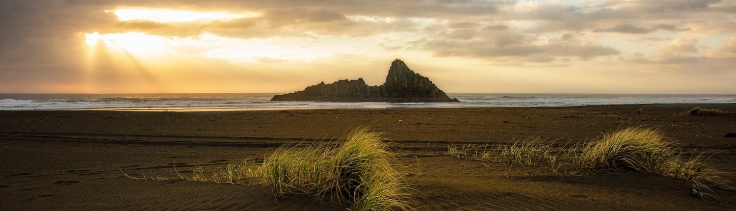 A small rocky island sits just off a sandy beach near Auckland, New Zealand