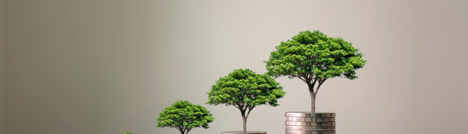 A composite image showing trees emerging from stacks of coins of increasing size, suggesting investment and growth